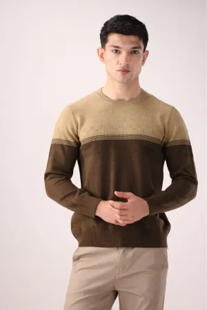Brown Sweater