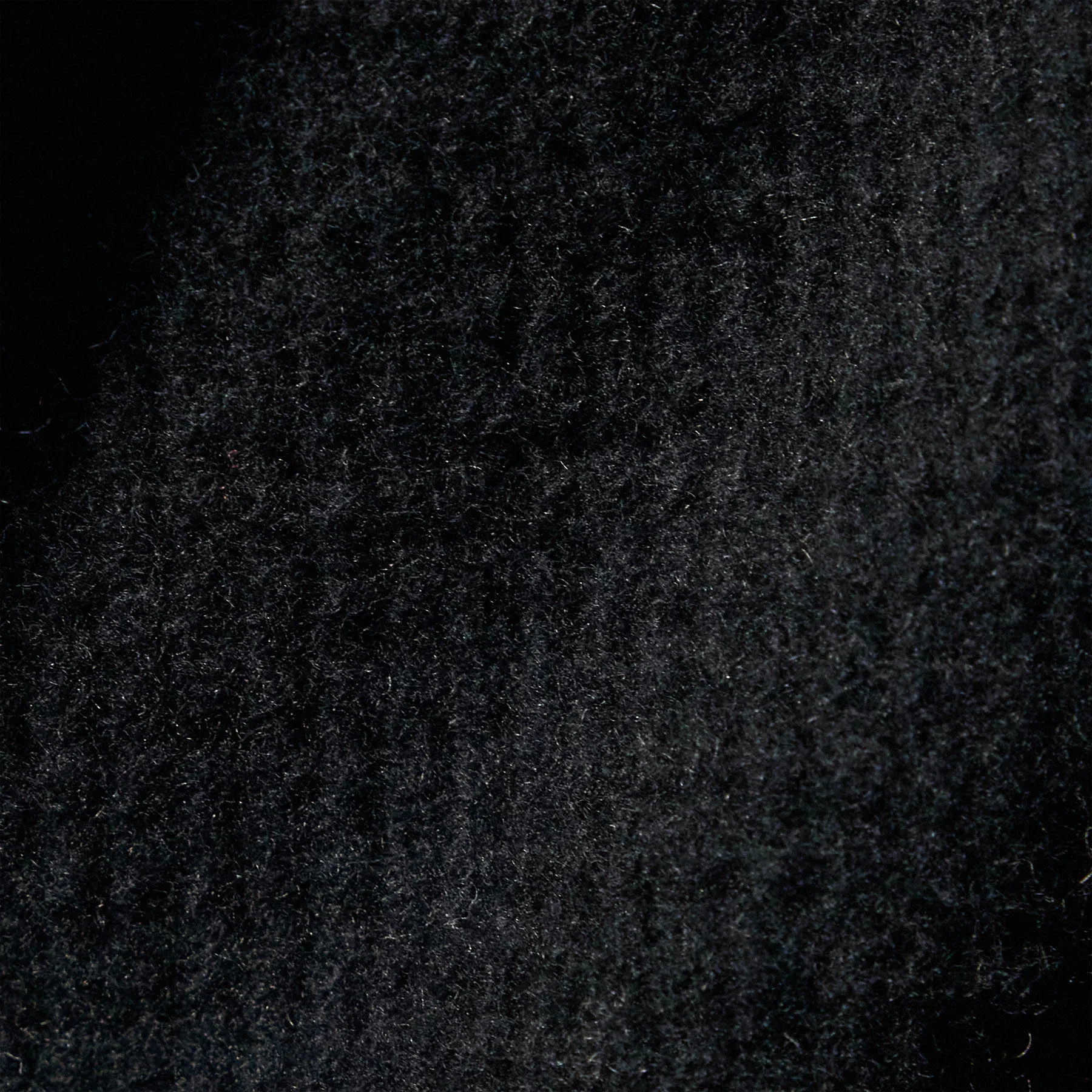 Brushed Thermal Sweat Pant - Black