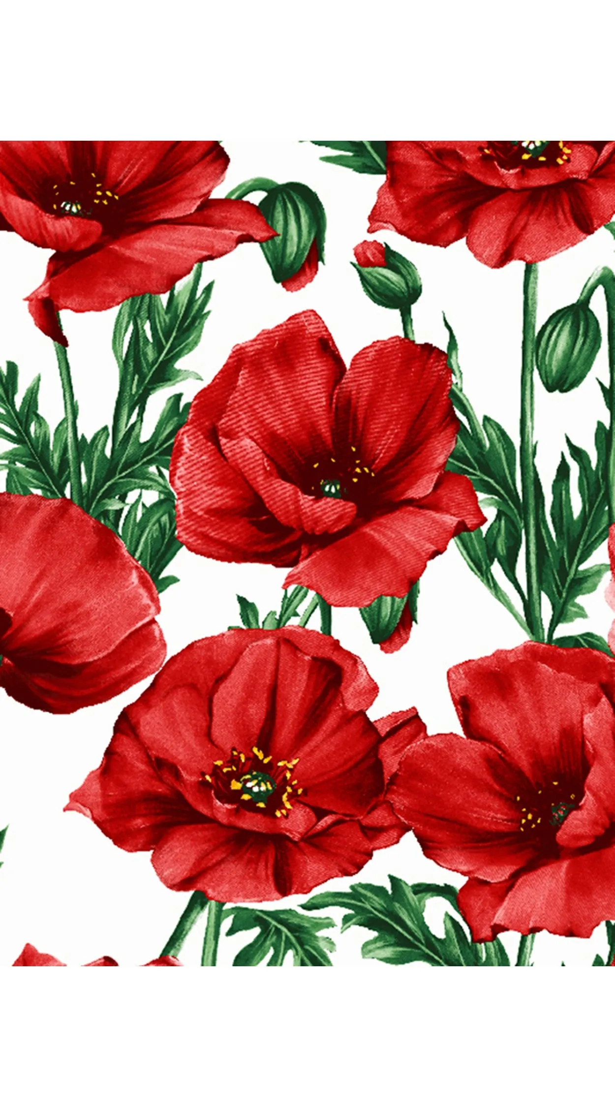 Chelsea Dress Boat Neck Sleeveless Poplin (Poppy Poland Small)