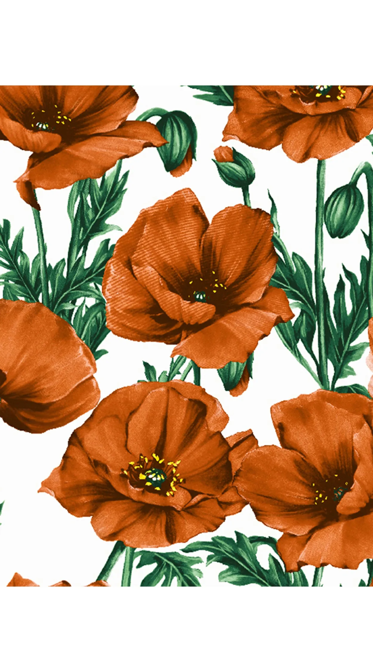 Chelsea Dress Boat Neck Sleeveless Poplin (Poppy Poland Small)