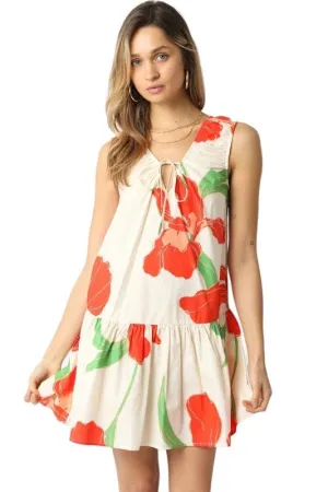 Frankie floral poplin dress