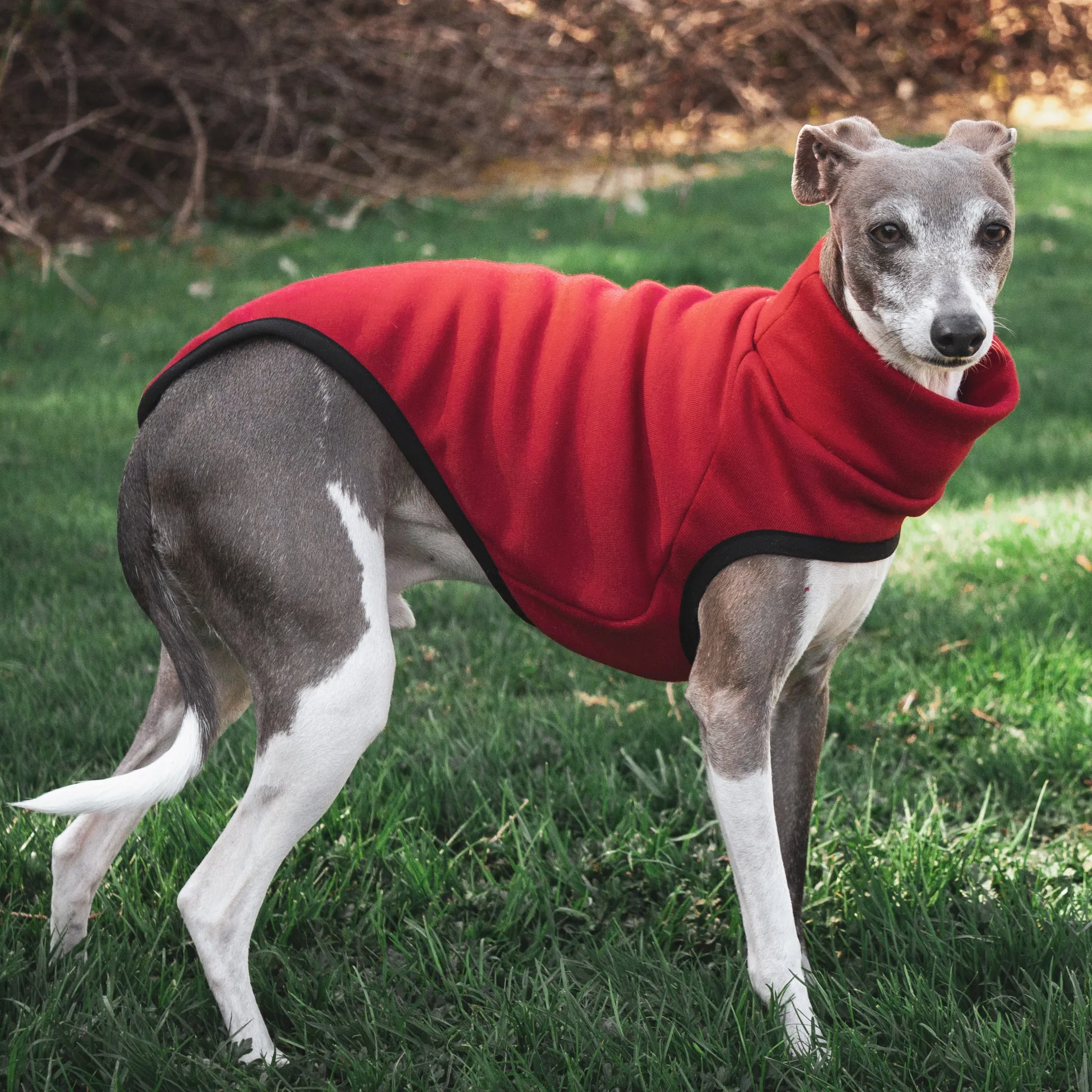 Sleeveless Dog Sweater - Red