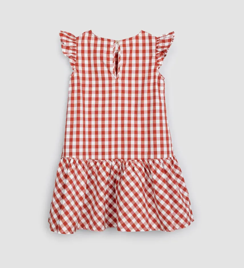 The Gingham Poplin Sleeveless Dress - Brick - BABY