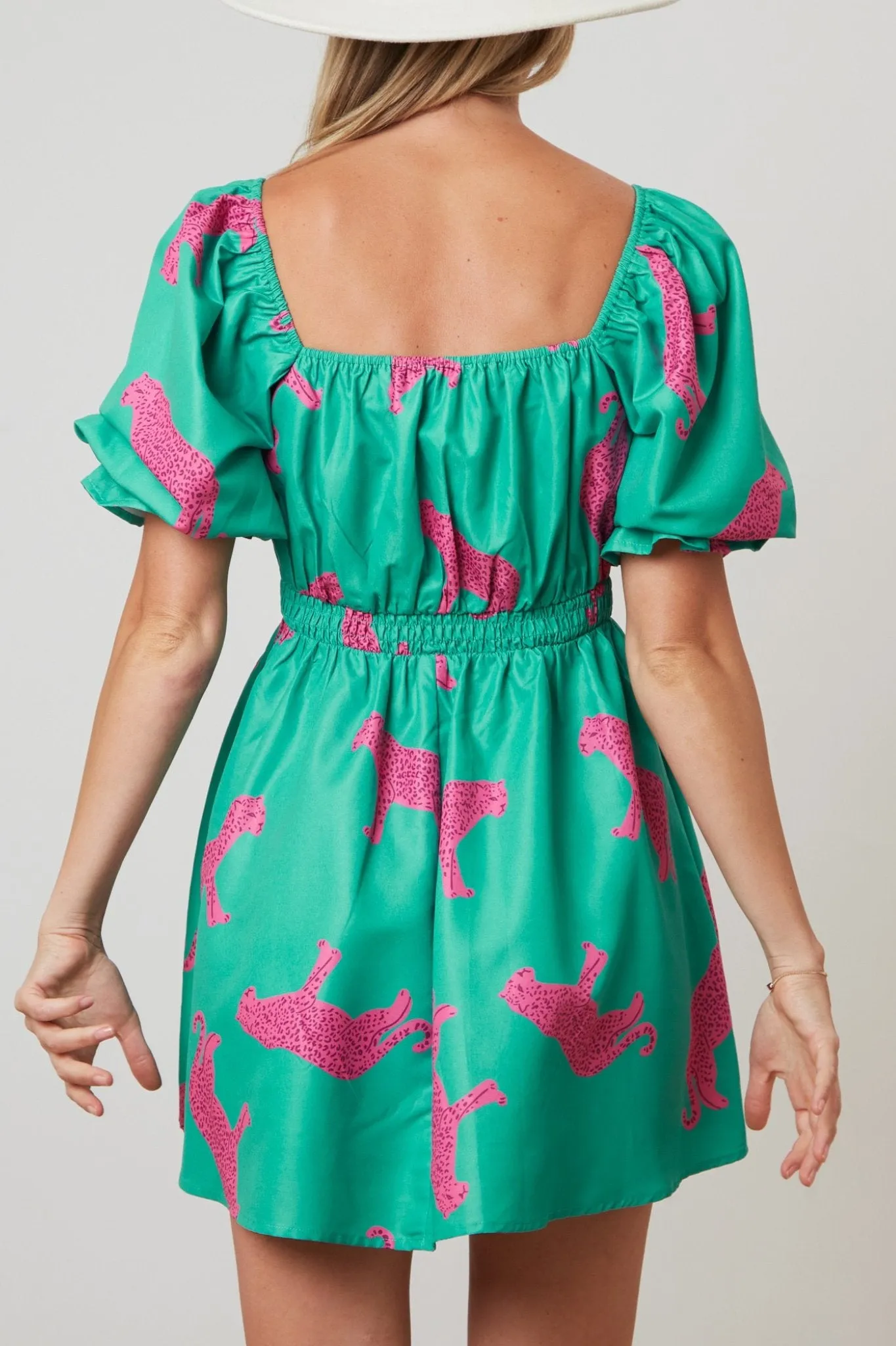 Wild Poplin Dress