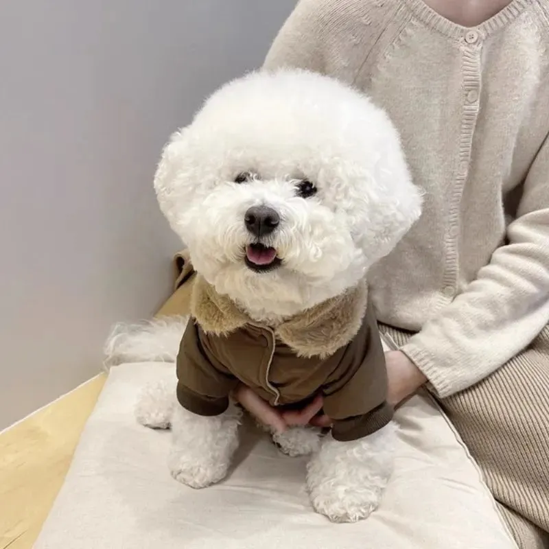 Winter Pet Fashion Dog Outfit