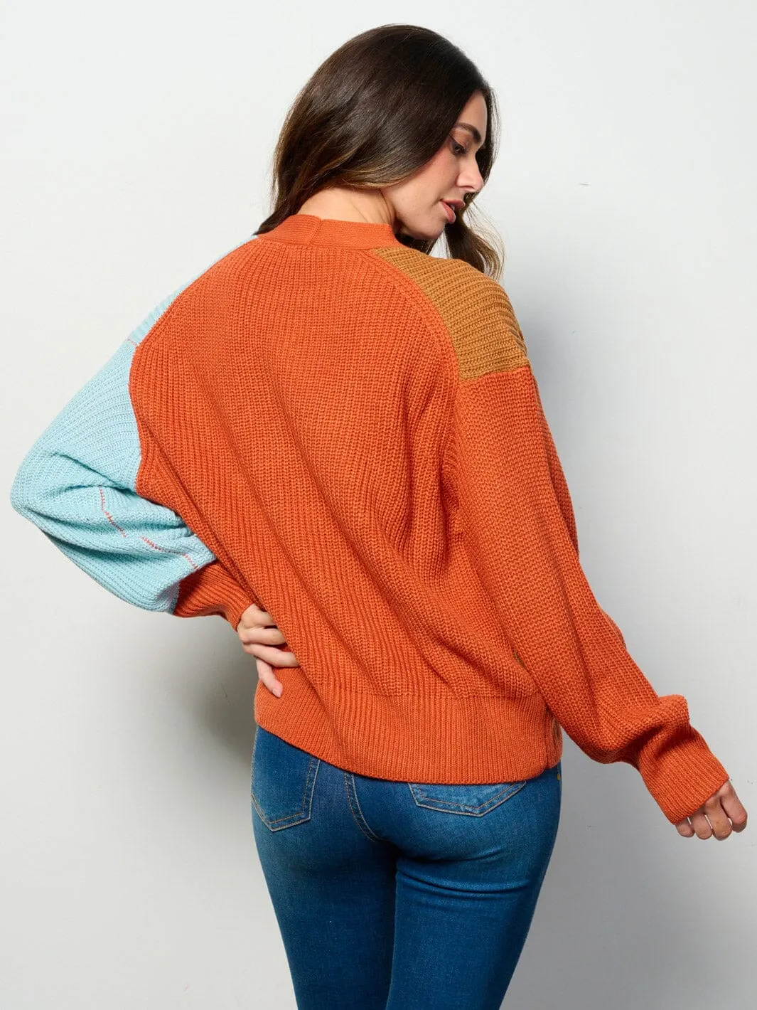 WOMEN'S LONG SLEEVE BUTTON UP COLORBLOCK CARDIGAN SWEATER